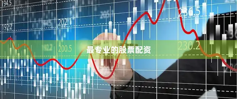 最专业的股票配资
