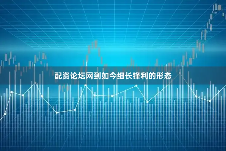 配资论坛网到如今细长锋利的形态
