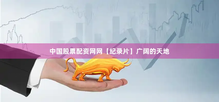 中国股票配资网网【纪录片】广阔的天地