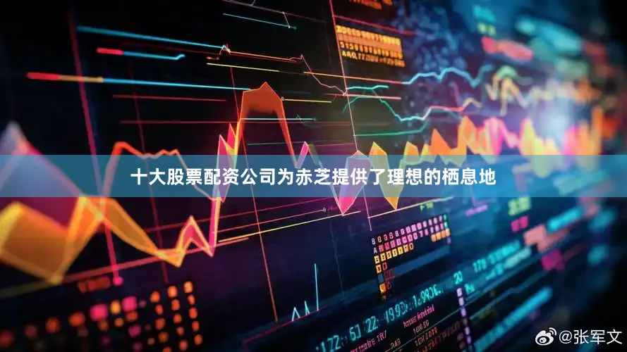 十大股票配资公司为赤芝提供了理想的栖息地