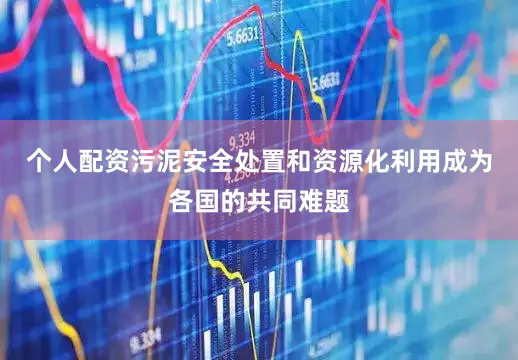 个人配资污泥安全处置和资源化利用成为各国的共同难题