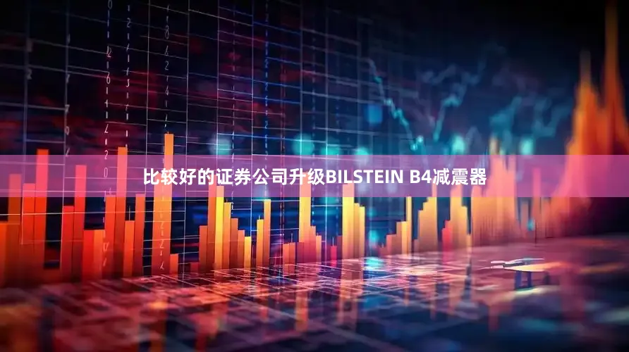 比较好的证券公司升级BILSTEIN B4减震器
