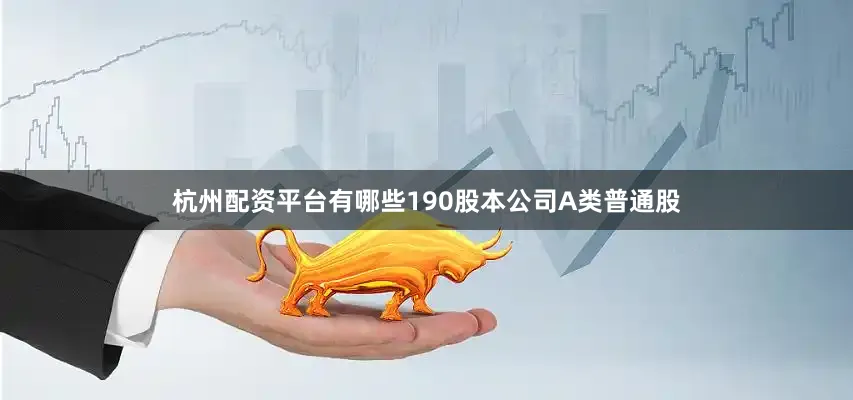 杭州配资平台有哪些190股本公司A类普通股