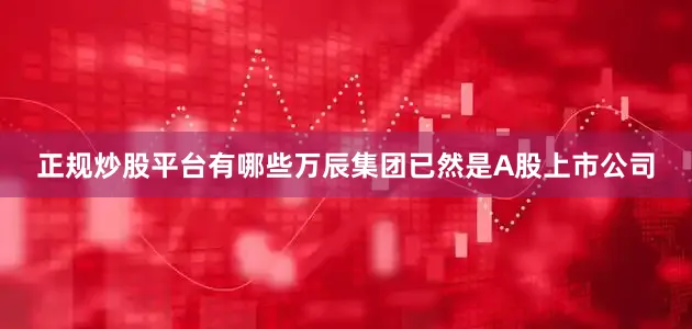 正规炒股平台有哪些万辰集团已然是A股上市公司