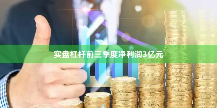 实盘杠杆前三季度净利润3亿元
